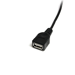 Startech CABLE MINI USB 2.0 DE