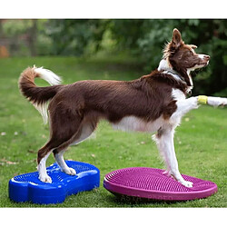 Avis FitPAWS Plate-forme d'équilibre pour animaux K9FITbone PVC Bleu ciel