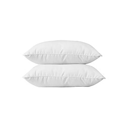 BLANREVE Lot de 2 Oreillers en coton - 60 x 60 cm - Blanc