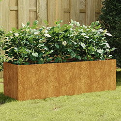 Maison Chic Jardinière,Lit surélevé de jardin - Bac à fleurs - pot de fleur 120x40x40 cm acier corten -GKD36240