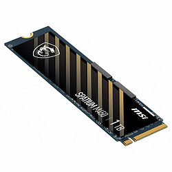 Disque dur MSI M450 NVME M2 1TB Interne SSD 1 TB 1 TB SSD