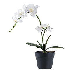 EPIKASA Plante Artificielle Orchidée