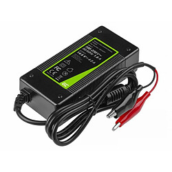 Green Cell® Chargeur entièrement Automatique pour Batterie LiFePO4 - 14.6V 4A 48W - Chargeur de Batterie au Lithium/Fer Phosphate - Conception précise - Carvan, Camping-Car, Bateau, Golf