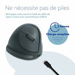 Acheter R-Go HE Basic Souris Ergonomique, Bluetooth 5.0, Rechargeable avec Type C/A cable, Prevention tendinite, Souris Ergo Verticale, Compatible avec Windows/Mac/Linux/Android, 1600DPI et 3 Boutons, Gris