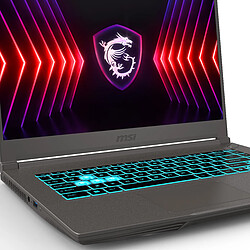 MSI Thin 15 B12UC-1233FR : i5 - 16GB -SSD 512GB - RTX3050 - 15.6"FHD 144Hz - Wds 11 Famille pas cher