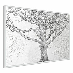 Paris Prix Affiche Murale Encadrée Tangled Branches 30 x 20 cm Blanc