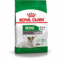 Nourriture Royal Canin Mini Ageing 12+ Adulte Senior Oiseaux 3,5 g