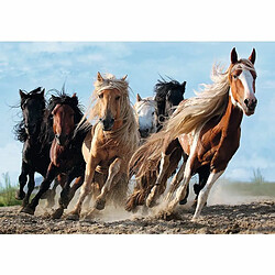 trefl - puzzle, chevaux au galop 1000pcs [wztrft0ul010446]