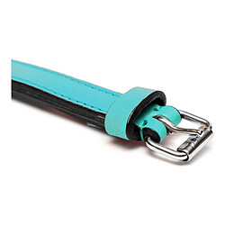 Acheter Collier pour Chien Gloria Rembourré Turquoise (55 x 2,5 cm)