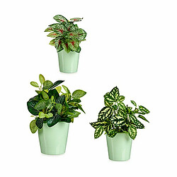 Avis Ibergarden Set de pots - Vert Argile