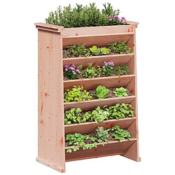 Avis vidaXL Jardinière de plantes aromatiques 6 niveaux bois massif douglas