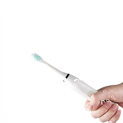 Universal Brosse à dents acoustique Brosse à dents électrique pour adultes Remplacement d &'une tête de brosse électrique à ultrasons Brosse à dents Brosse électrique dentaire