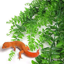 Universal Reptiles, plantes, plastique, verre, barbe, dragon, lézard, gecko, serpent, pot.