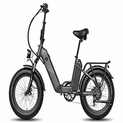 Acheter FAFREES FF20 Polar Vélo Électrique - 500W Autonomie 110KM Freins à Disque - Noir