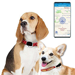 Wewoo Traceur GPS RF-V43 IP67 étanche GPS + LBS + WiFi Animaux Localisation Collier Tracking Device Blanc