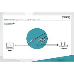 DIGITUS - Audiokabel - RCA männlich zu Stereo Mini-Klinkenstecker männlich - 3 m - Schwarz pas cher