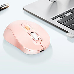 Avis LinQ Souris Sans Fil Bluetooth ou WiFi 2.4Ghz Précision et Confort Rose Poudré