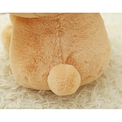 Acheter Universal 22 cm peluche mignonne peluche lapin peluche lapin enfant oreiller poupée cadeau d'anniversaire créatif enfant bébé accompagné d'un jouet de couchage | Peluche animaux