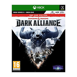 Deep Silver Dungeons et Dragons Dark Alliance Day One Edition Xbox Series X