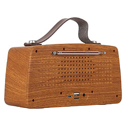 Yonis Enceinte Bluetooth Retro Sans Fil FM Appel Main-Libre Support TF & USB