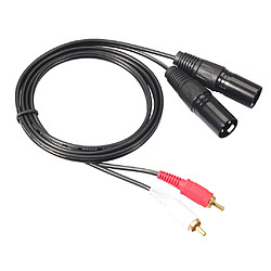 Câble double RCA vers XLR mâle