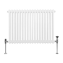 Monstershop Radiateur Traditionnel à Double Colonne – 600 x 832 mm – Blanc