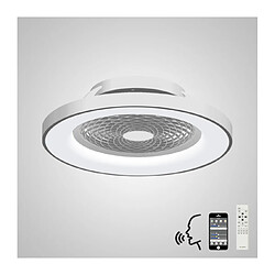 Avis Luminaire Center Plafonnier ventilateur Tibet Argent, blanc 1 ampoule 20cm