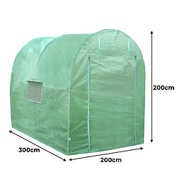 Acheter Monstershop Serre Polytunnel 19mm 3m x 2m avec Étagères