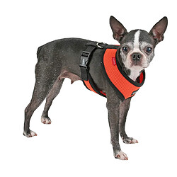 Avis Puppia Harnais pour Chien Orange S