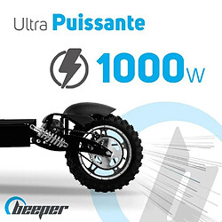 Trottinette électrique BEEPER Cross FX1000-S - 1000 W - Pliable - Batterie Plomb - 36 V - Sans selle