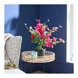 But Bougainvilliers H. 76 cm Assorti