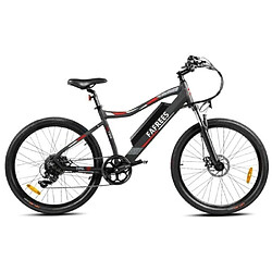 Vélo électrique FAFREES F100 48V 250W 11.6Ah Batterie Vitesse maximale 34km/h Noir