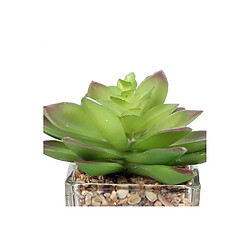 Avis Sil Plantes artificielles dans pot en verre 6.5 x 6.5 x 17 cm (Lot de 3).