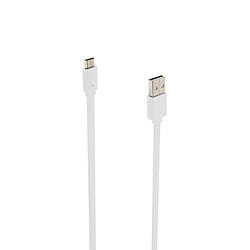 Riffi DCO Durable TPE câble universel micro USB vers USB données et chargeur rapide 2,4 A 1 m blanc