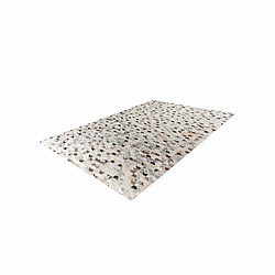 Paris Prix Tapis Fait Main en Cuir Lavin V Argent & Multicolore 80 x 150 cm