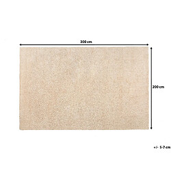 Beliani Tapis beige clair 200 x 300 cm DEMRE