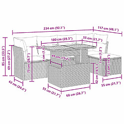 Acheter vidaXL Salon de jardin avec coussins 6 pcs gris résine tressée acacia