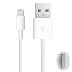 Wewoo Câble blanc pour iPhone 6 et 6 Plus, 5 5S 5C, iPad Air, mini, mini 2 Retina, compatible avec iOS 8.0 2m de données de synchronisation USB de chargement,