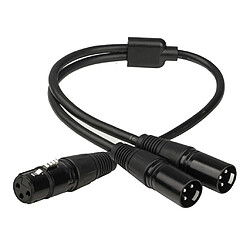 Adaptateur Câble XLR Femelle à 2 Câbles de Séparateur en Y Mâle