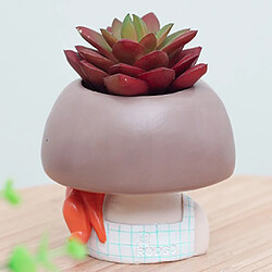 Avis Set 4 Cute Girl Succulent Planter Bonsaï Pot Flowerpot Bureau Décor À La Maison