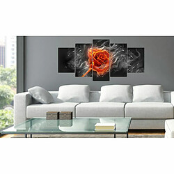 Paris Prix Tableau Imprimé Fiery Rose 100 x 200 cm