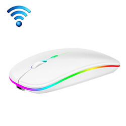 Yonis Souris RGB Sans Fil Ergonomique étanche