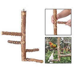 Avis Oiseau De Compagnie Perroquet Support De Support De Perche En Bois Naturel Meulage L 15x35cm