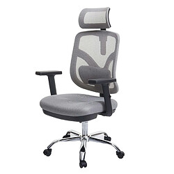 Decoshop26 Fauteuil de bureau ergonomique soutien lombaire siège pivotant et réglable revêtement en maille gris 04_0006222