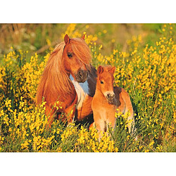 Ravensburger 100 p XXL - Poneys Shetland