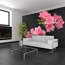 Paris Prix Papier Peint Azalea in Black 154 x 200 cm