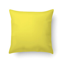 Alter Coussin avec impression numérique, 100% Made in Italy, Coussin de canapé décoratif, amovible et lavable, modèle Lucas, 40x40x5 cm