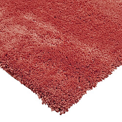 Avis Thedecofactory COCOON - Tapis à poils longs toucher laineux rouge argile 160x230