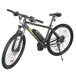 Avis Vélo électrique Eleglide M1 Plus 29 Pouces Vélo Électrique Femme et Homme,36V 12.5AH 250W,Max 25km/h,Autonomie 100km,APP