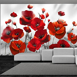 Paris Prix Papier Peint Coquelicots dans au Clair de Lune 105 x 150 cm